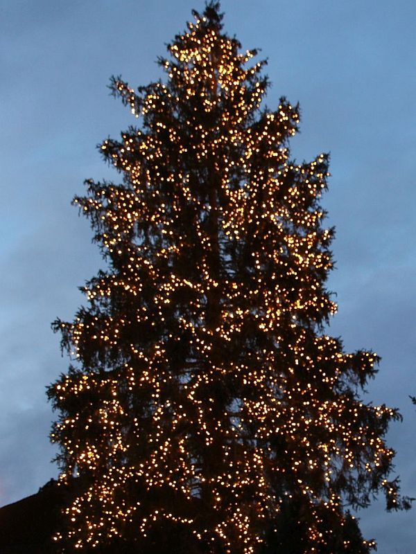 Weihnachtsbaum Glashütte Willkommen